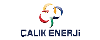 Partner 7